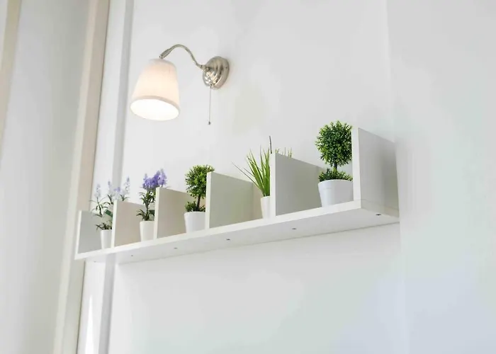 Window On *